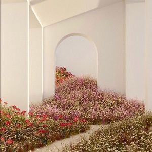 Meet your Posher, Phoebe